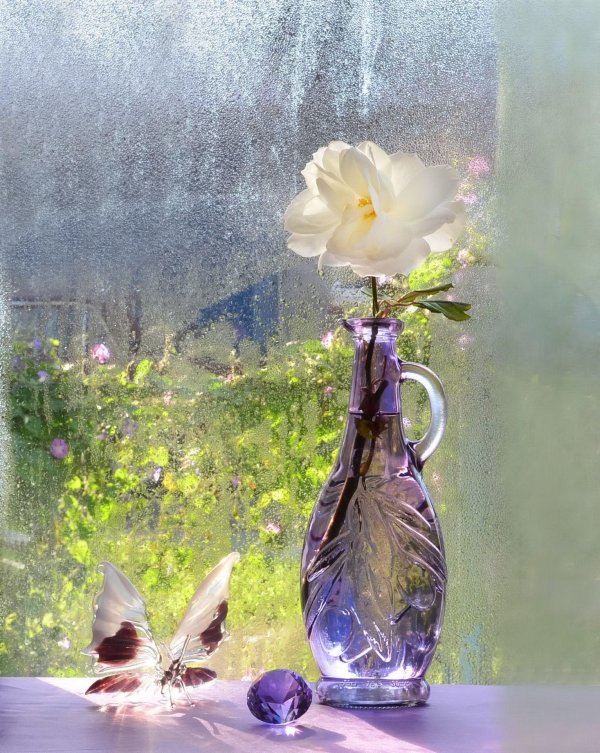 душевные цветы