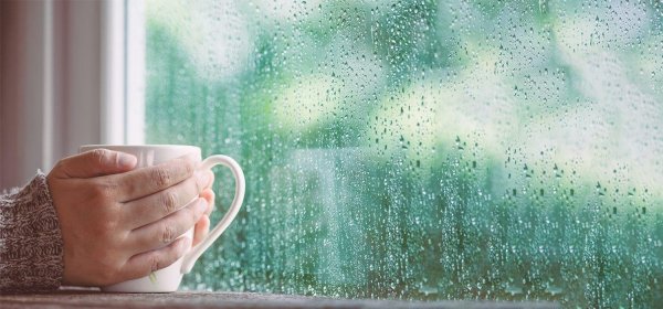 дождливого утра