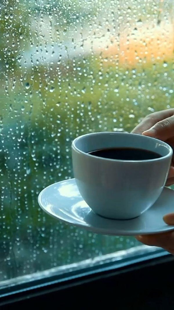 дождливого утра