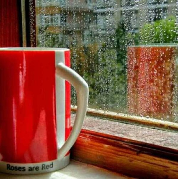 дождливого утра