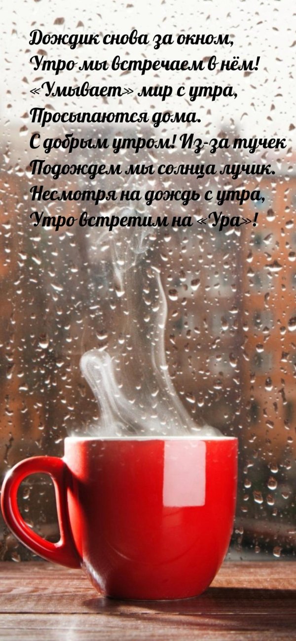 дождливого утра