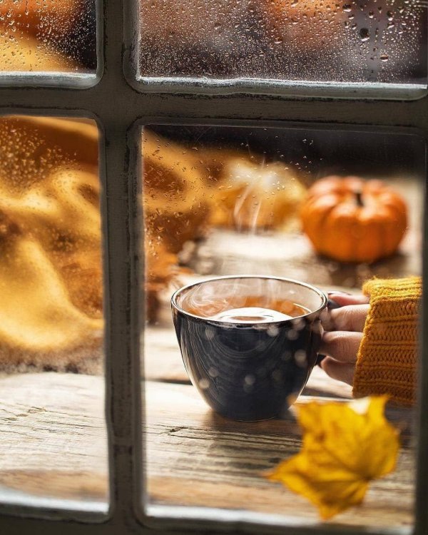 теплого осеннего утра