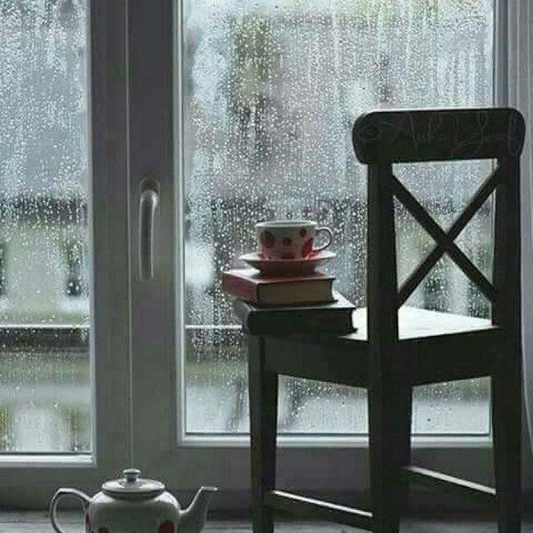 дождливые дни