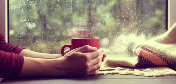 дождливого утра