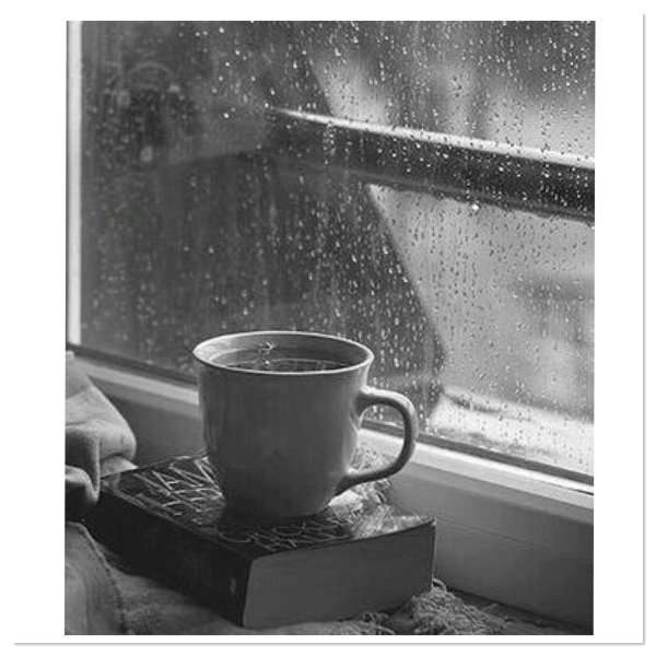 дождливого утра