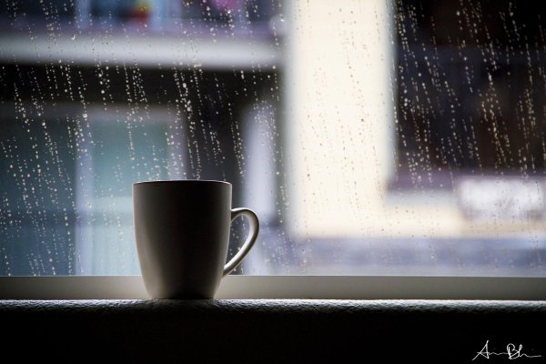 дождливого утра