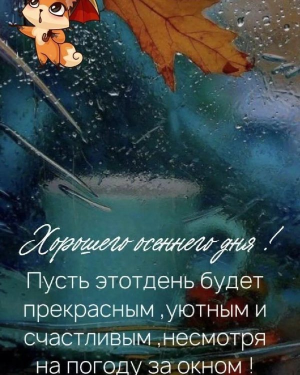 дождливая осень