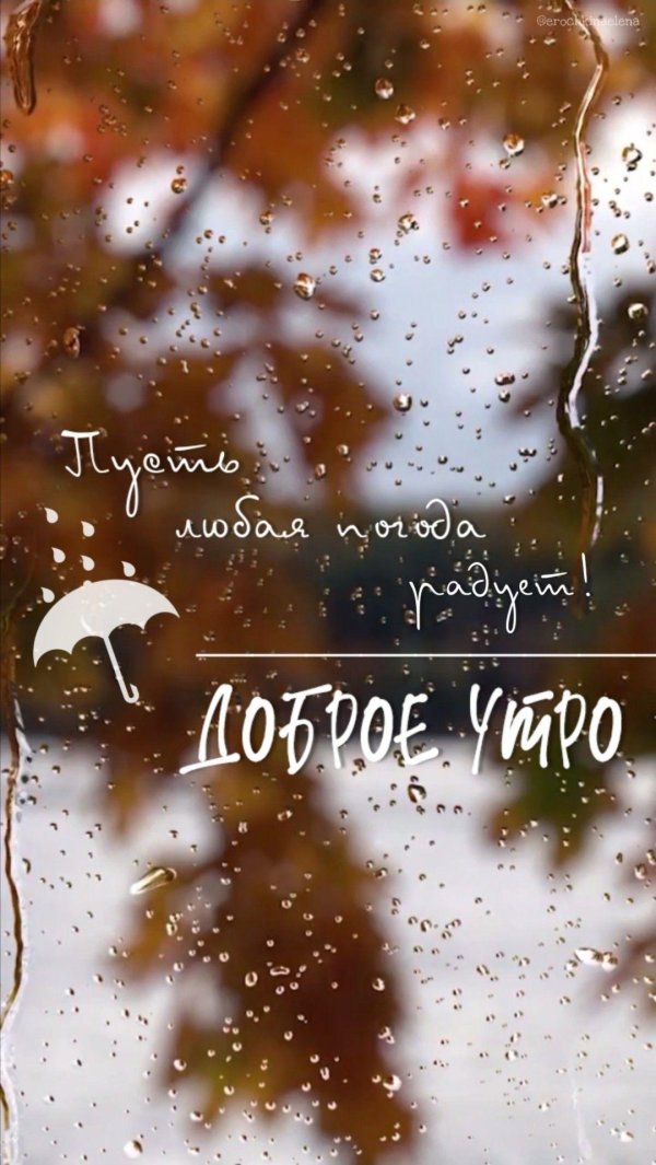 дождливого утра