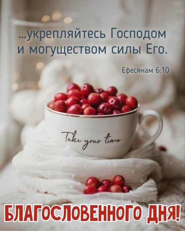 cranberries ягода