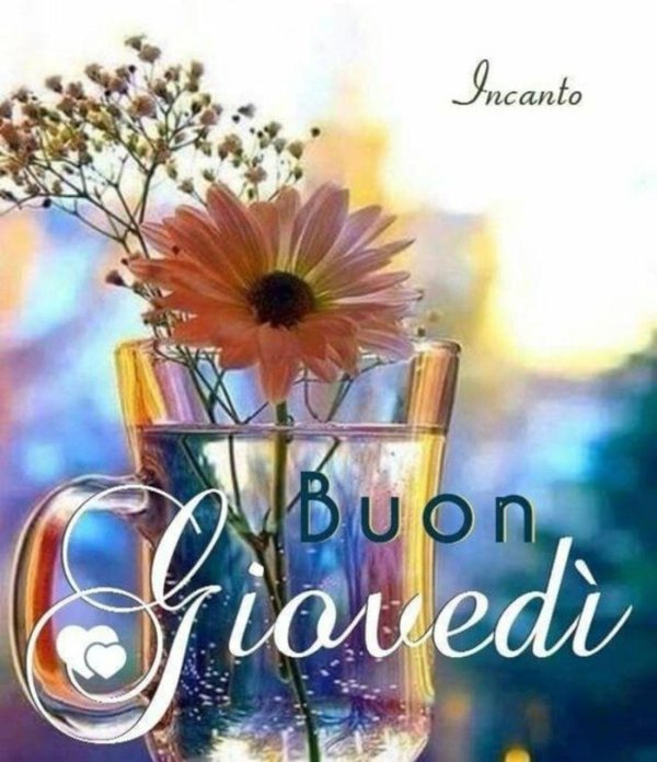 buona giornata