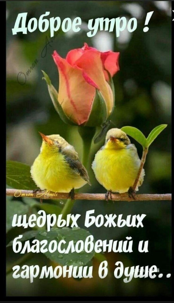доброго благословенного дня