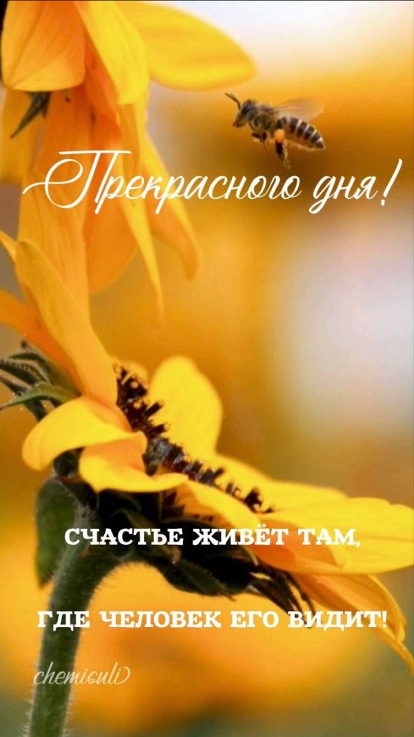 счастье жить