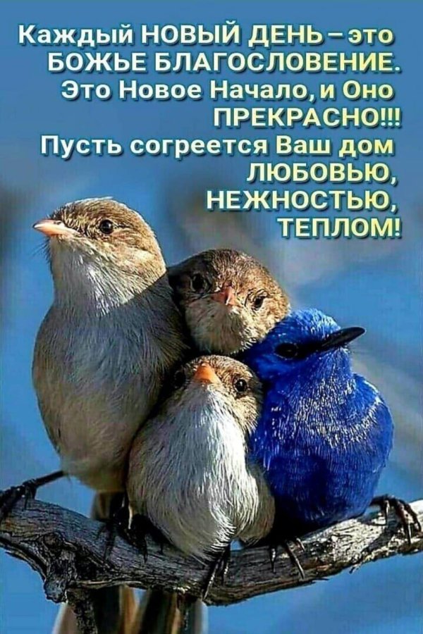 христианские открытки с добрым утром и благословениями