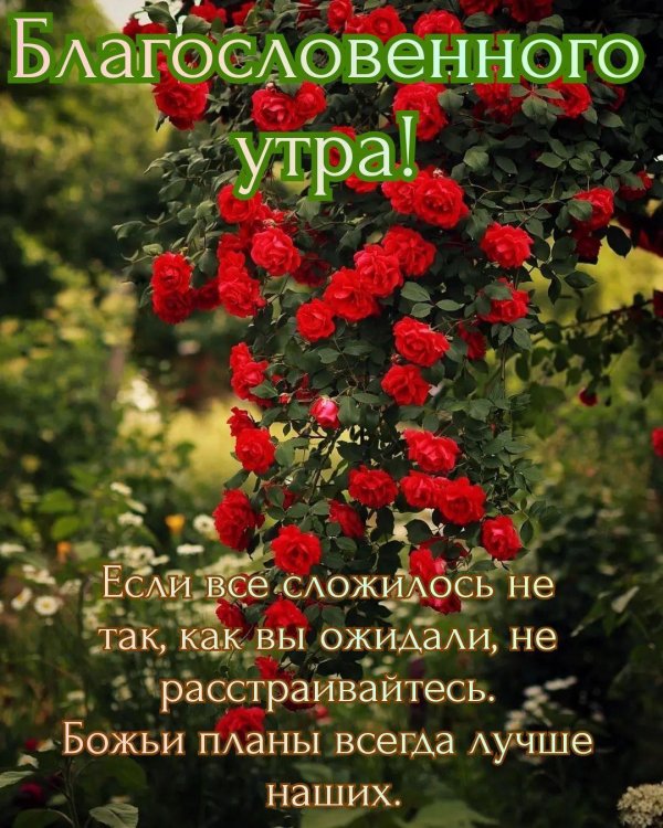 доброго благословенного дея