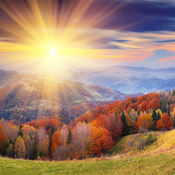 осеннее солнце