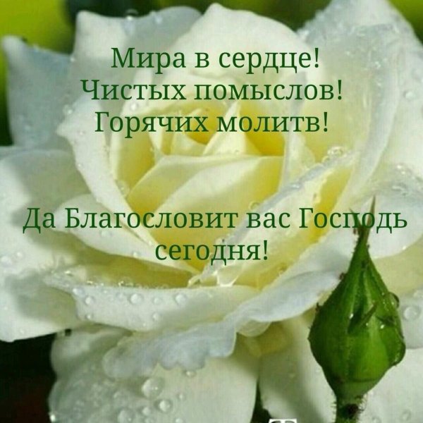 бог благословит