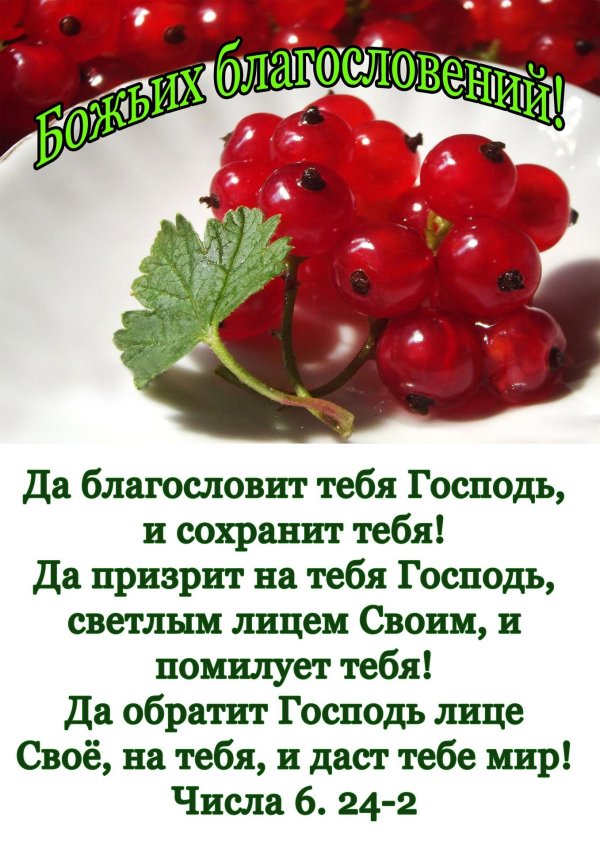 божиих благословений