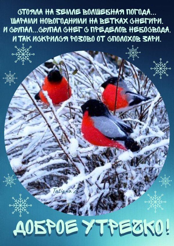 Доброе утро зимние с снегирями