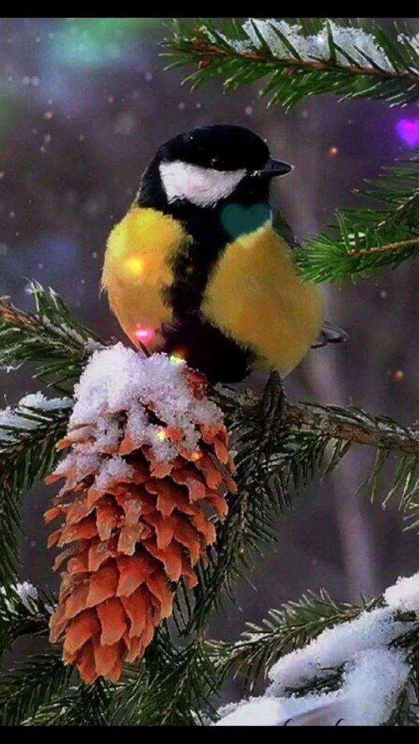 агафий полухлебник