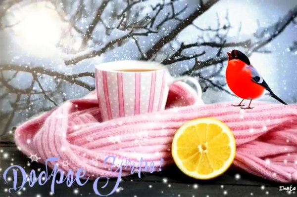 анимированные открытки доброе утро зимнее