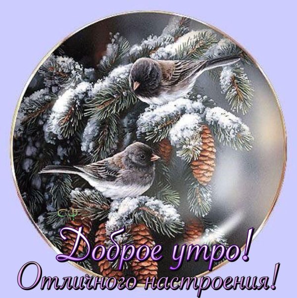 зимнего утра