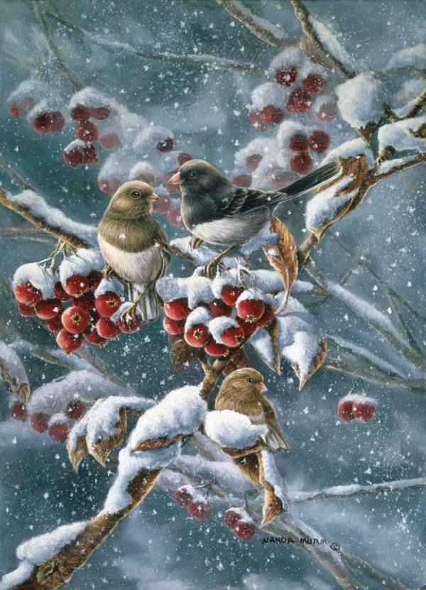 зимние птицы живопись