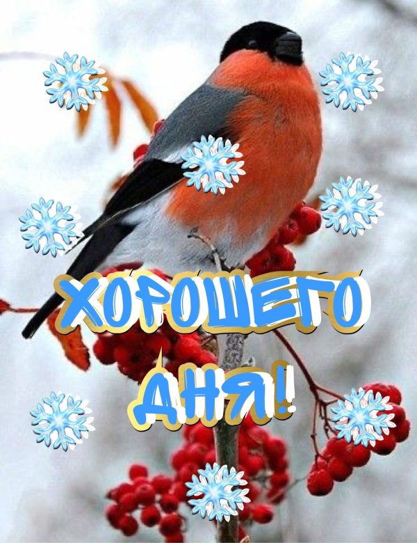 доброго утра зимнего