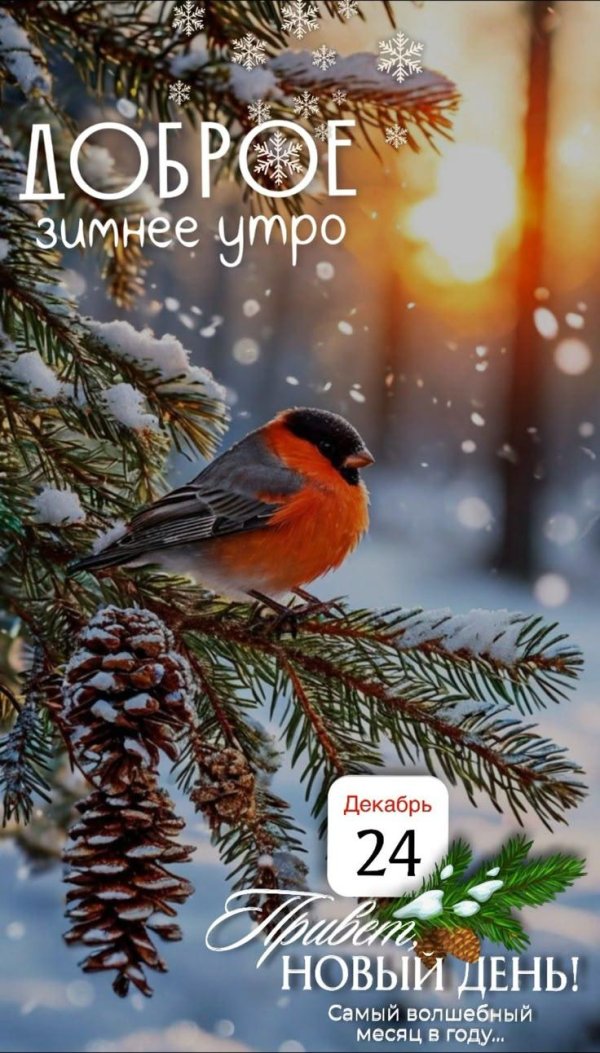 зимнего утра