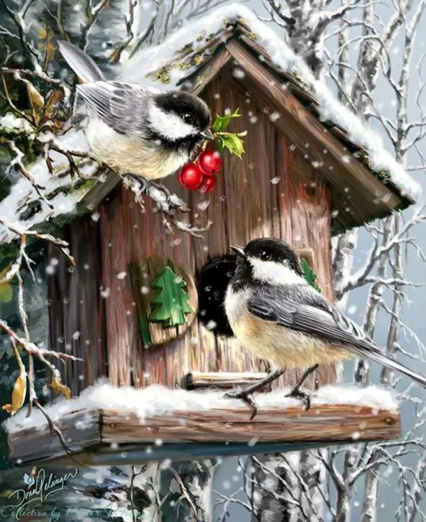 картины птиц