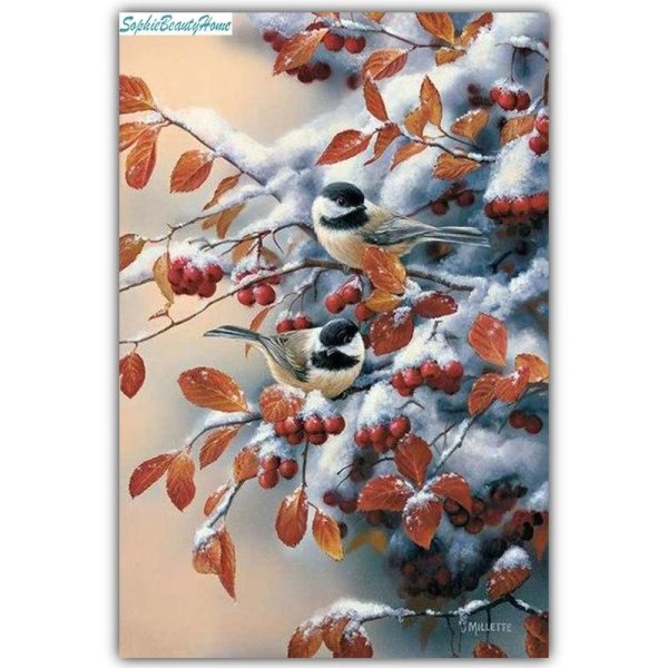 розмари миллетт rosemary millette