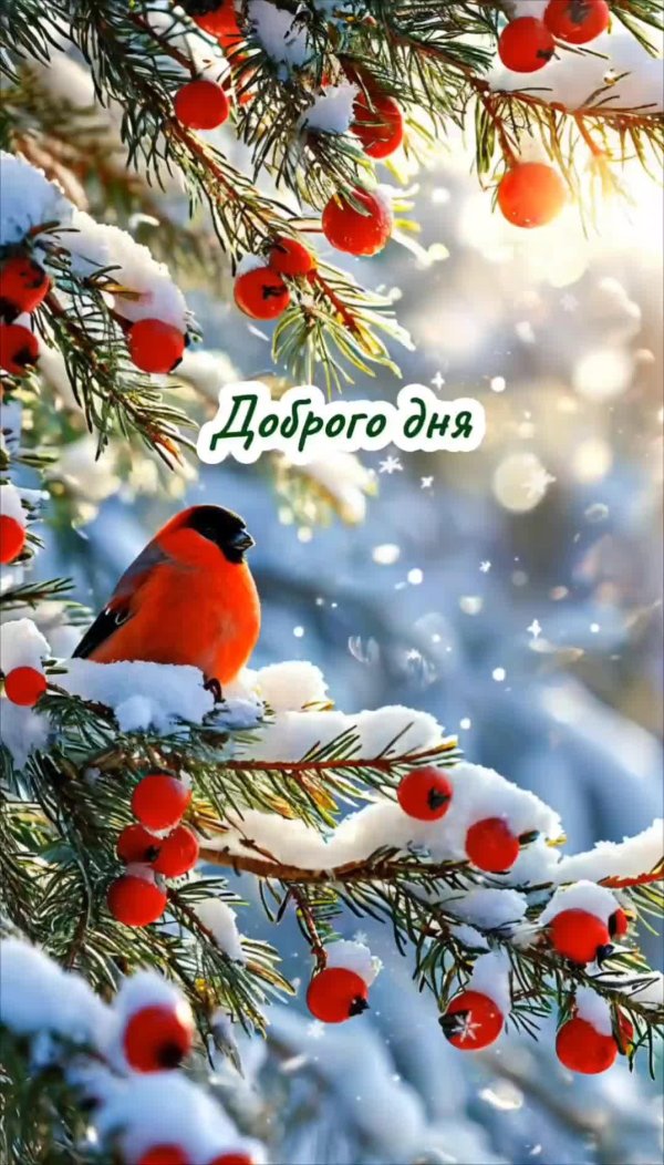 зима добрый день