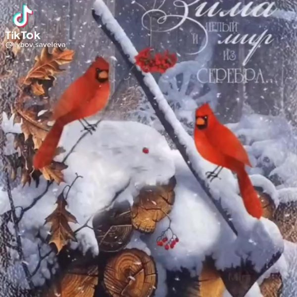 зимние открытки красивые