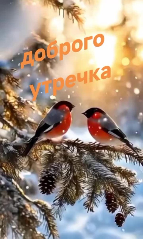 пейзаж зимний