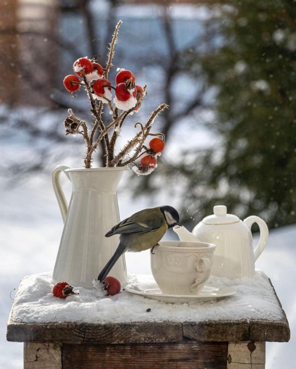 уютная зима