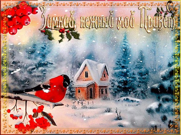 зимние открытки