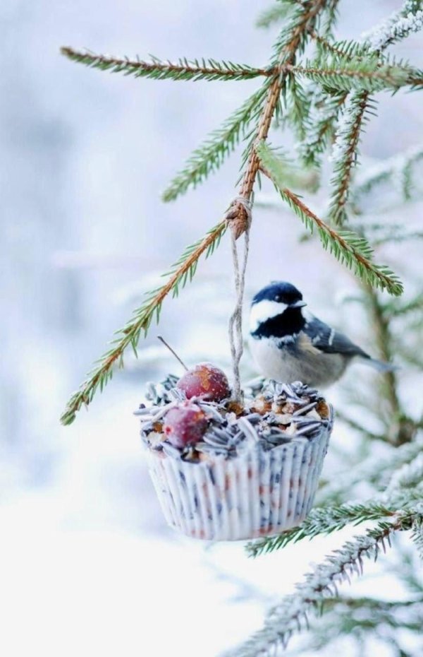 доброго утра зимнего