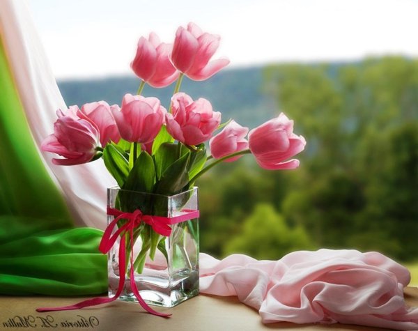 шикарные тюльпаны