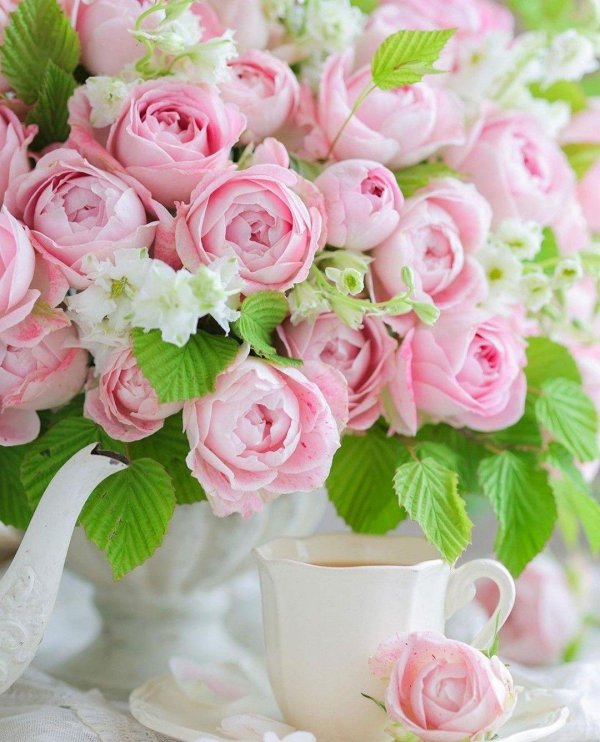 розы вдохновения