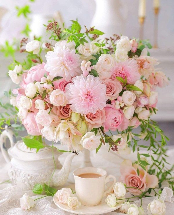 доброго утра вам и хорошего светлого дня