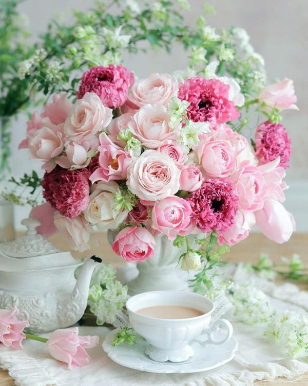 утренние цветы