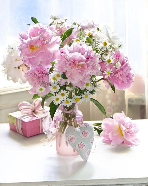 фотонатюрморты марианны локшиной