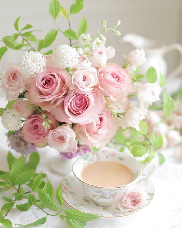 утренние цветы