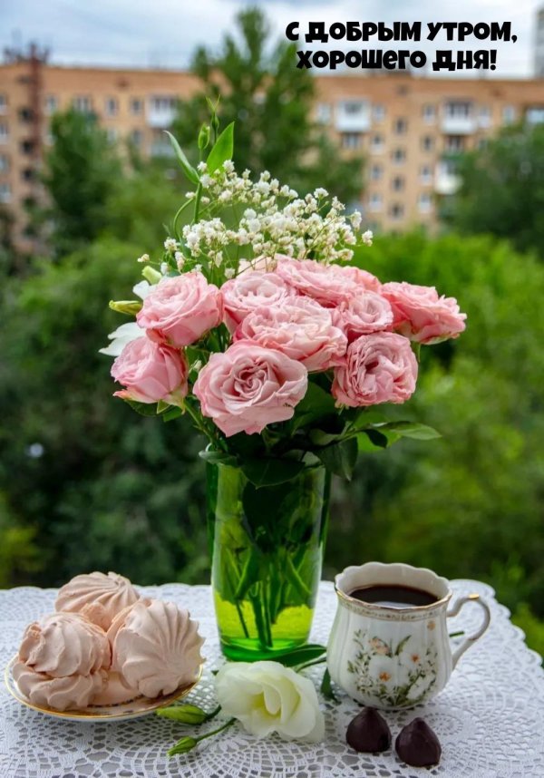 утренние цветы