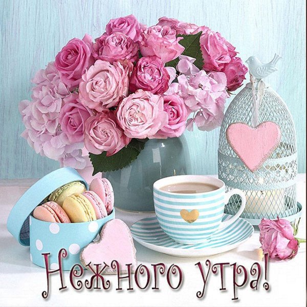 доброго нежного утра