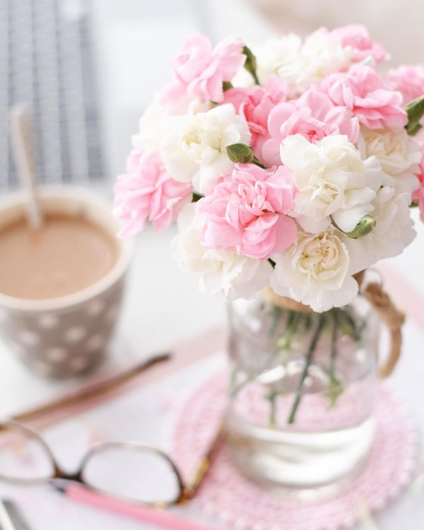 нежный цветок