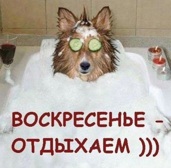 воскресенье отдыхаем