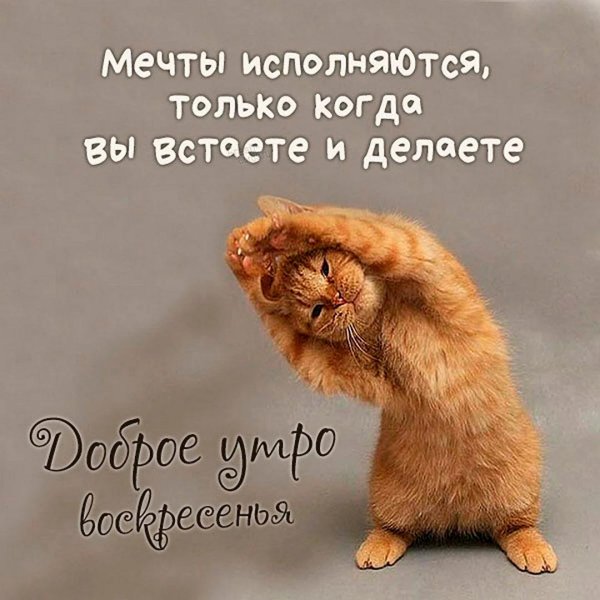 утренние зарядки