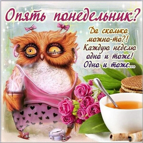 сонная сова