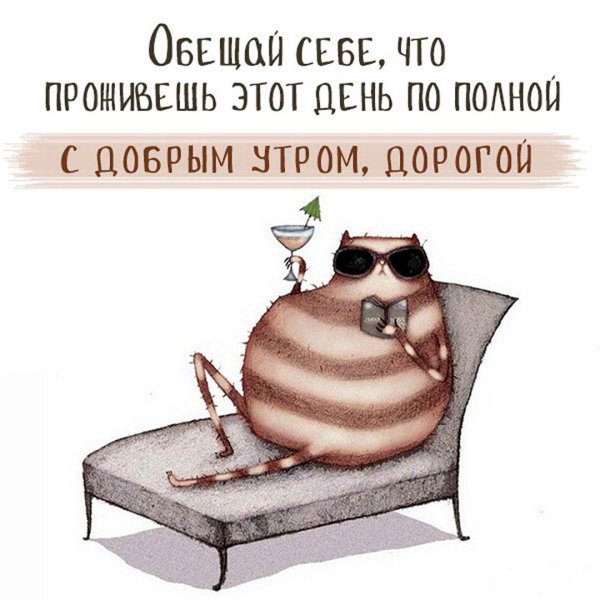 воскресенье приколы