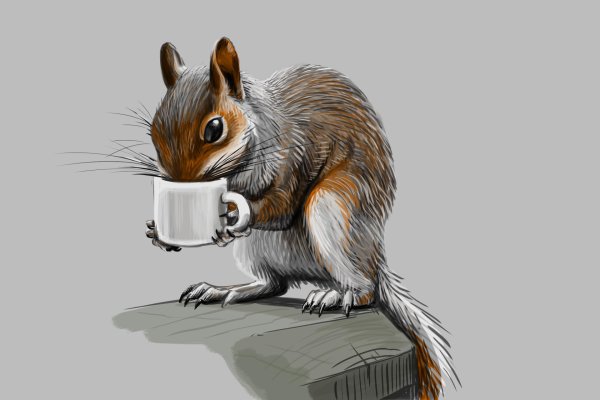 белка иллюстрация